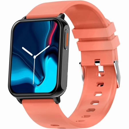 6_max.jpg